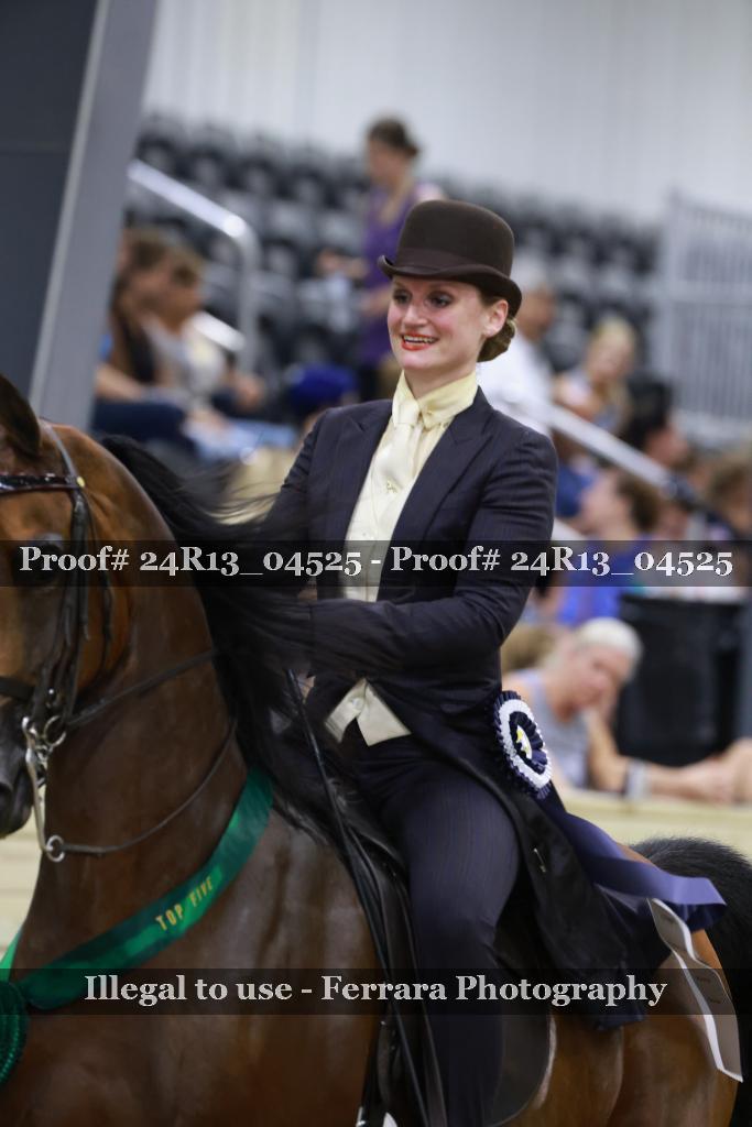 Proof 24R13_04525