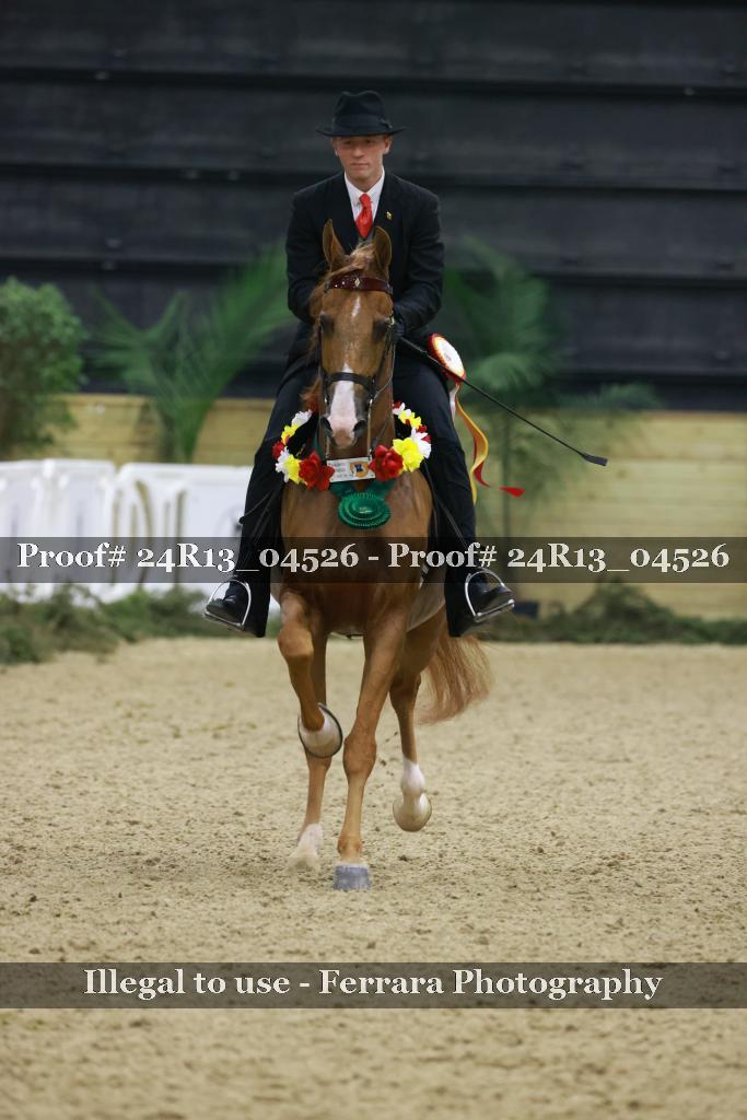 Proof 24R13_04526