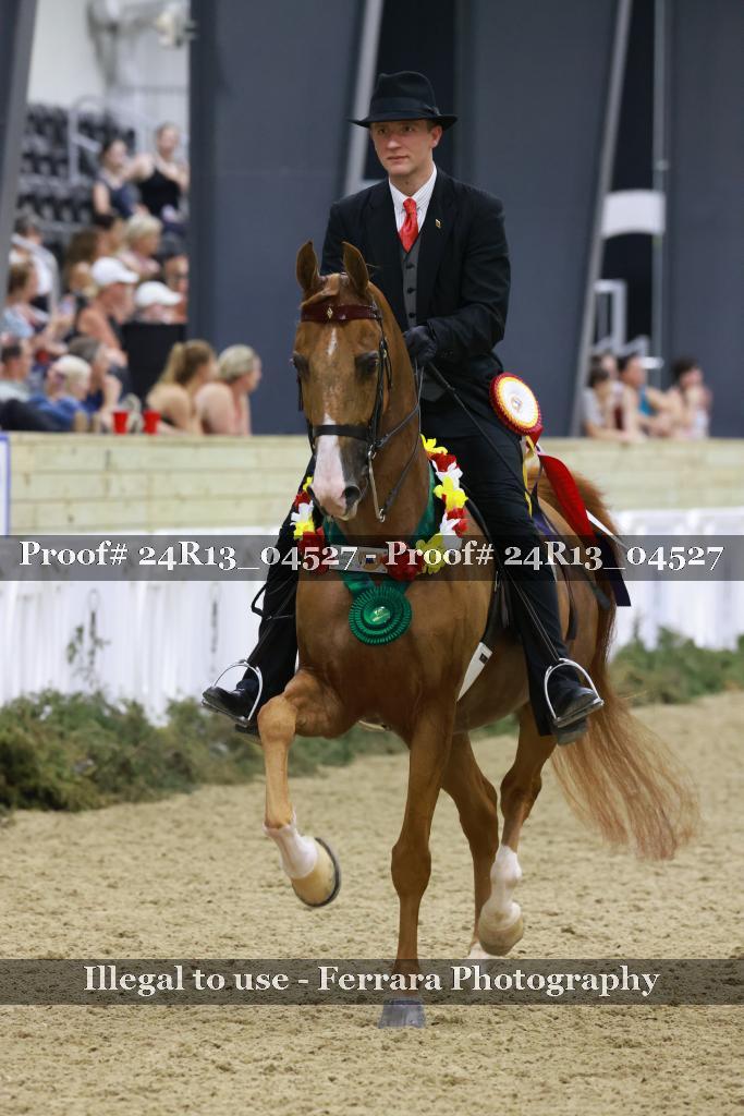 Proof 24R13_04527