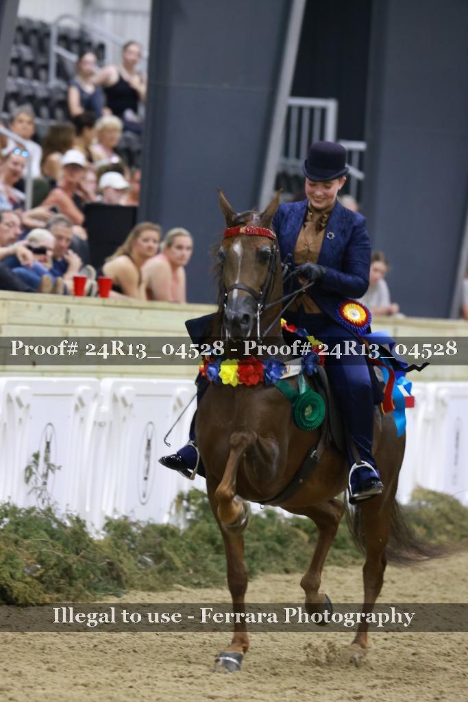 Proof 24R13_04528