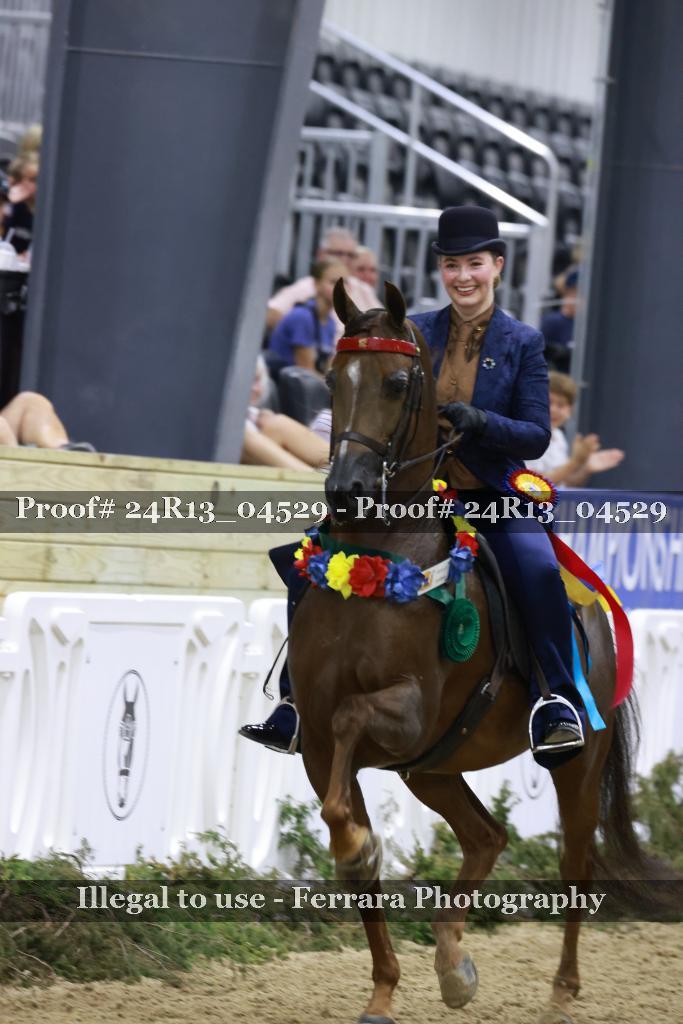 Proof 24R13_04529