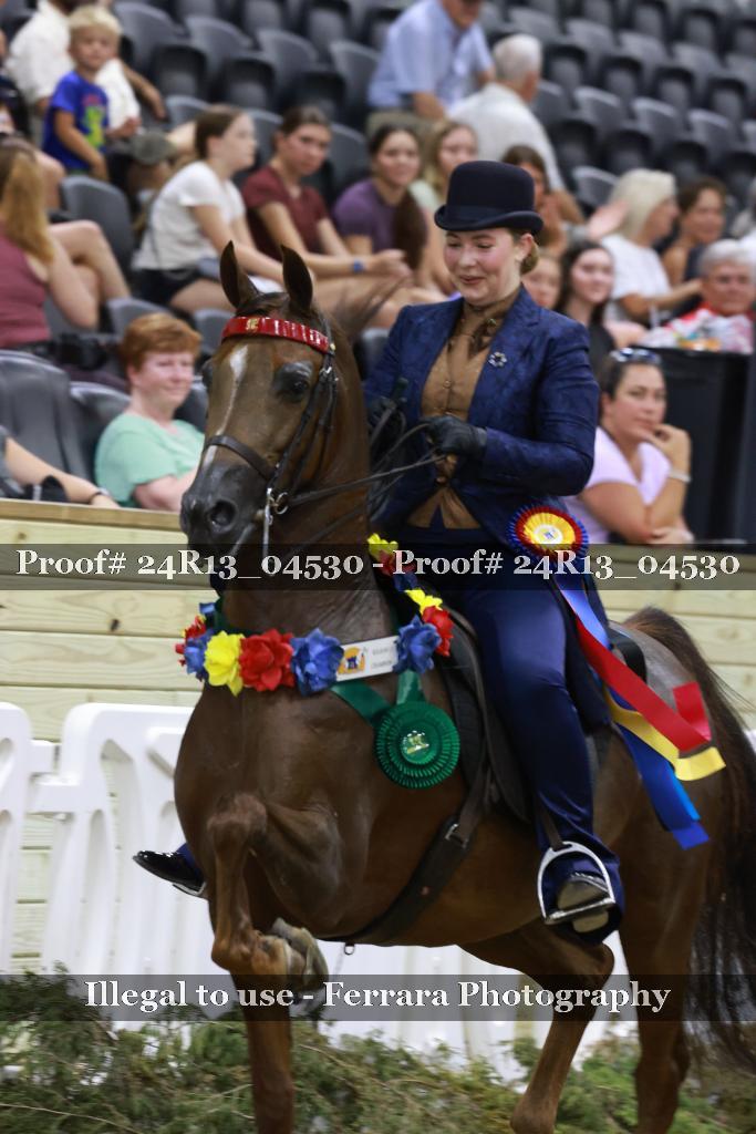 Proof 24R13_04530
