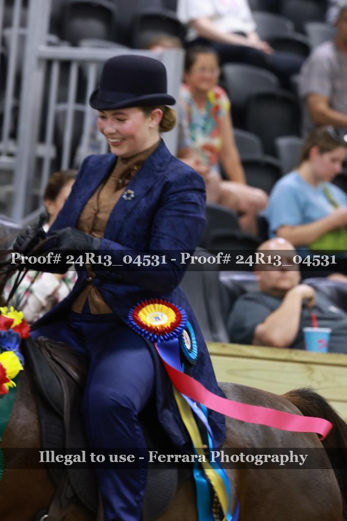 Proof 24R13_04531
