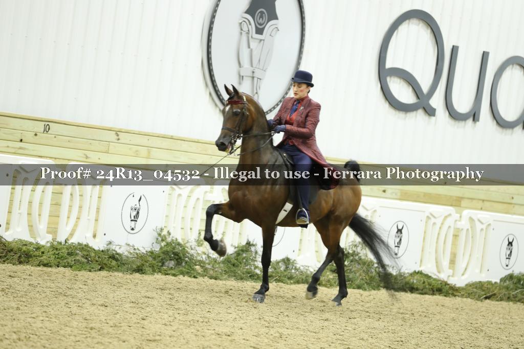 Proof 24R13_04532
