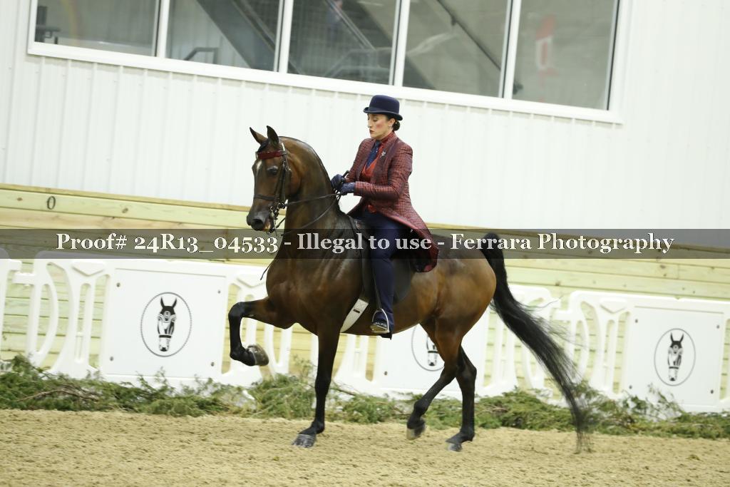 Proof 24R13_04533