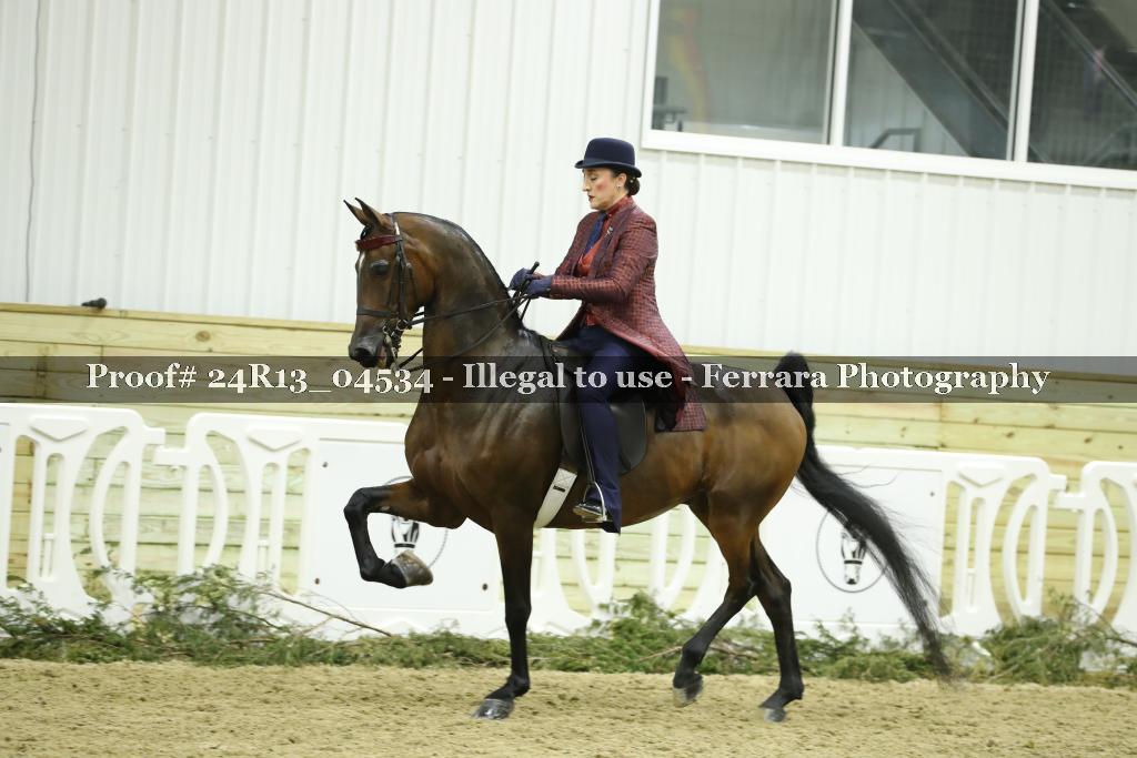 Proof 24R13_04534