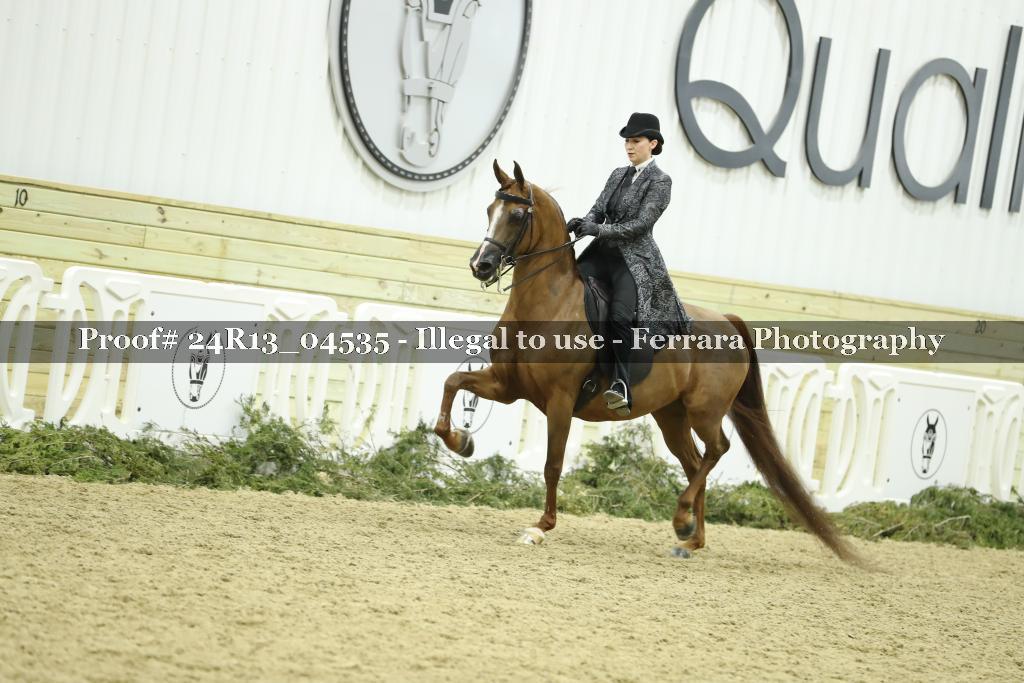 Proof 24R13_04535