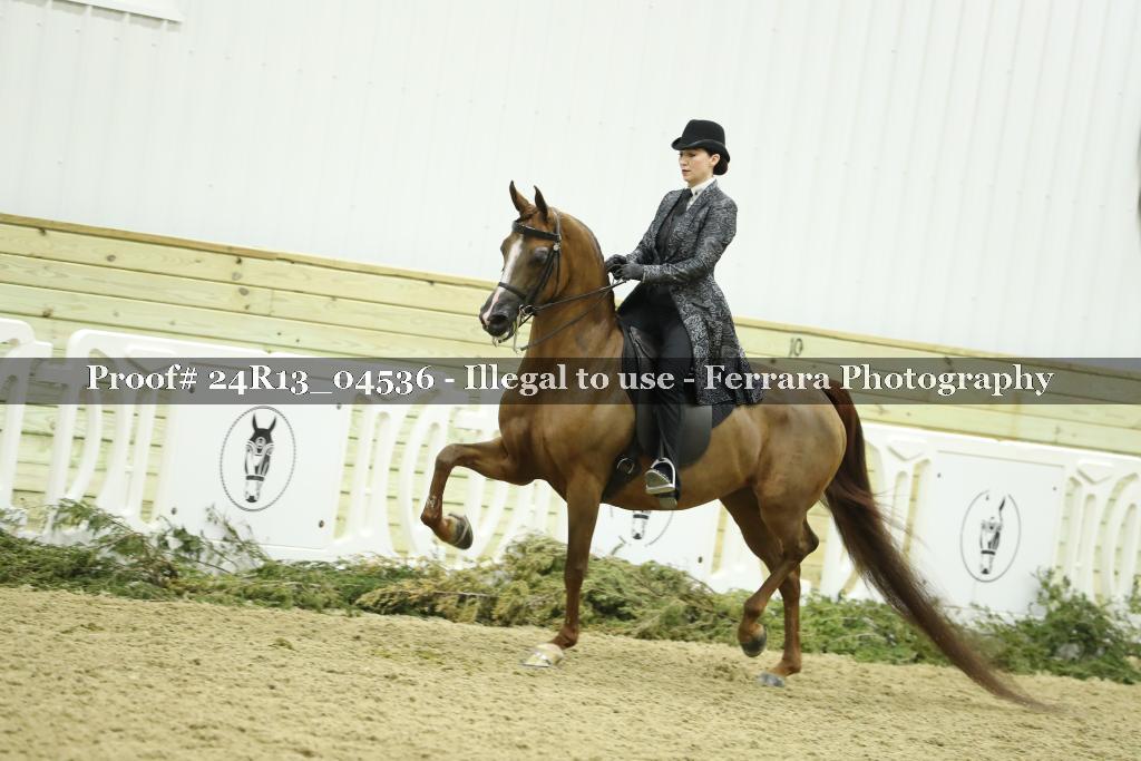 Proof 24R13_04536