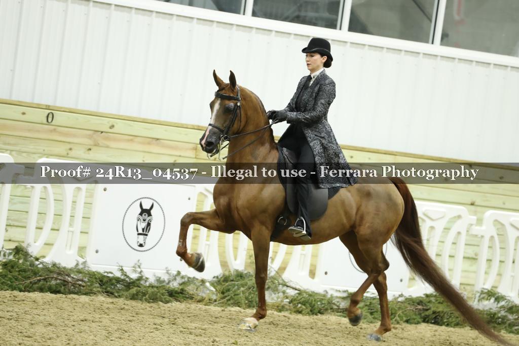 Proof 24R13_04537
