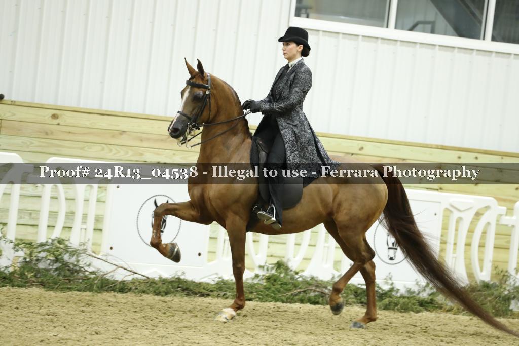 Proof 24R13_04538