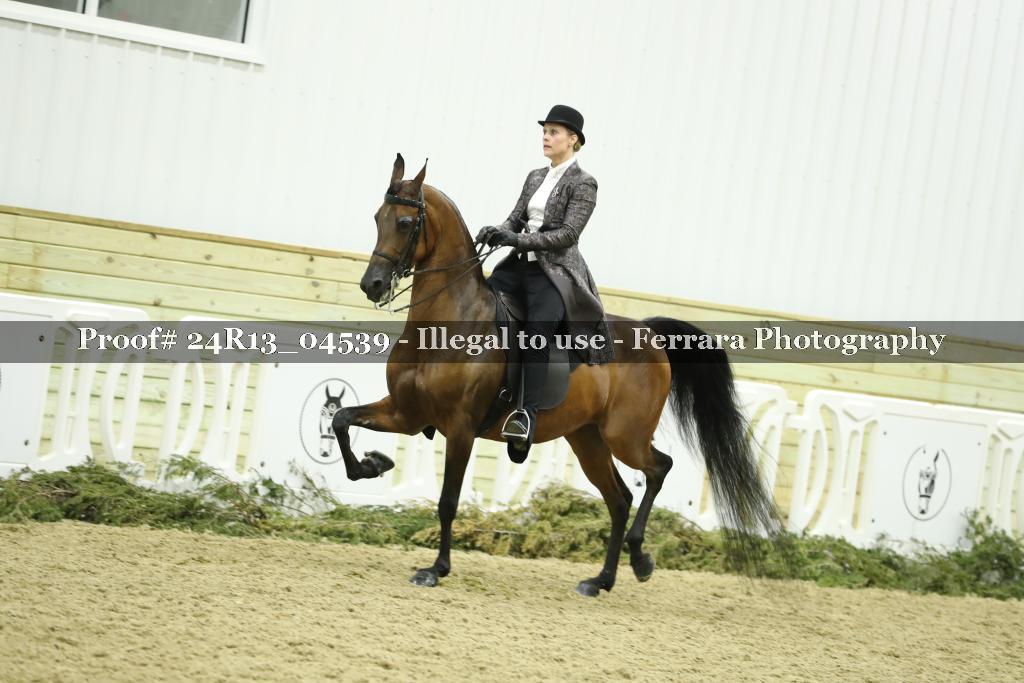Proof 24R13_04539