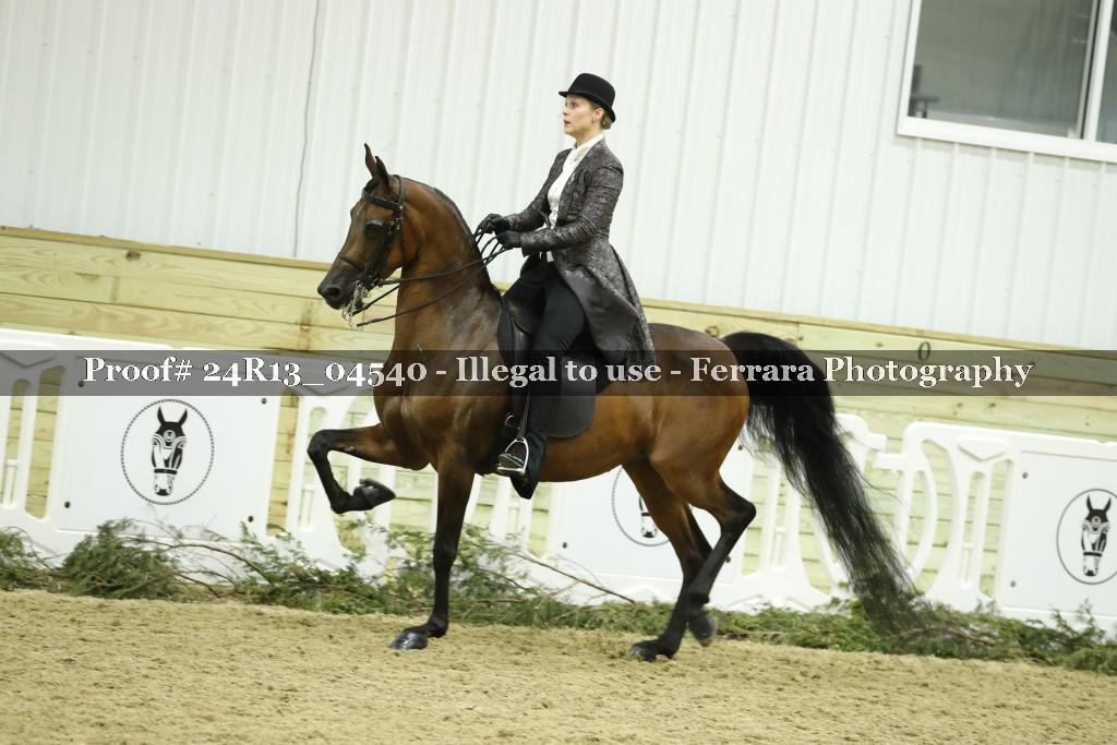 Proof 24R13_04540