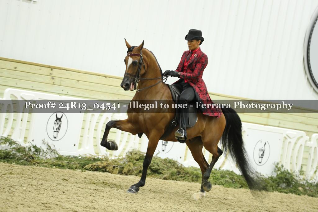 Proof 24R13_04541