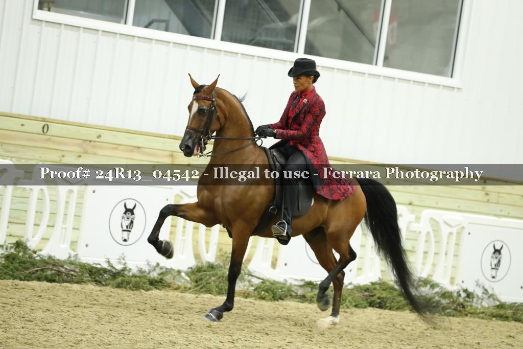 Proof 24R13_04542