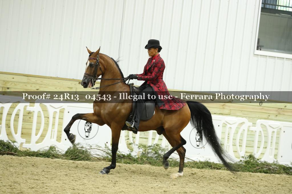 Proof 24R13_04543