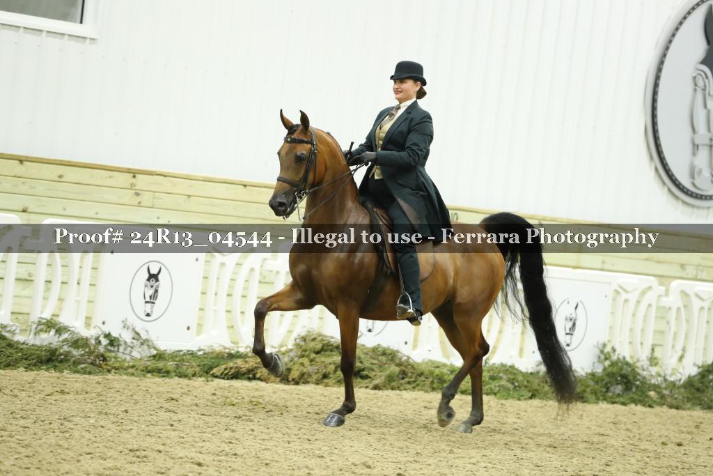 Proof 24R13_04544