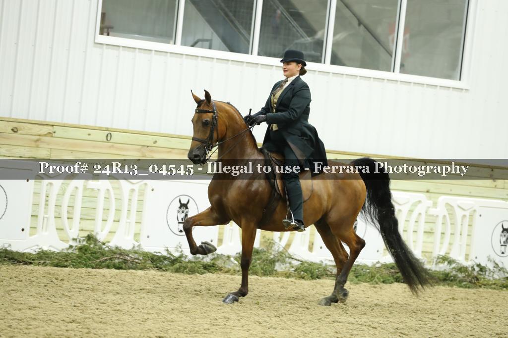 Proof 24R13_04545