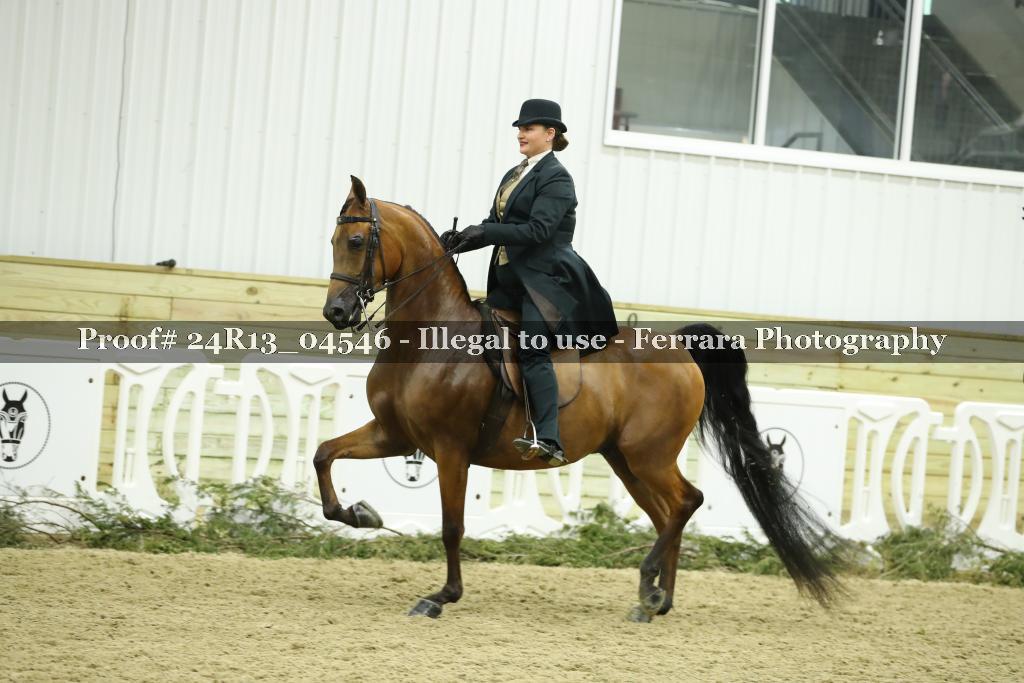 Proof 24R13_04546