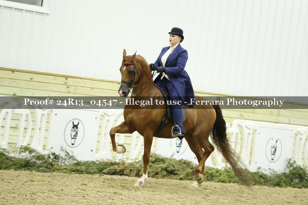 Proof 24R13_04547