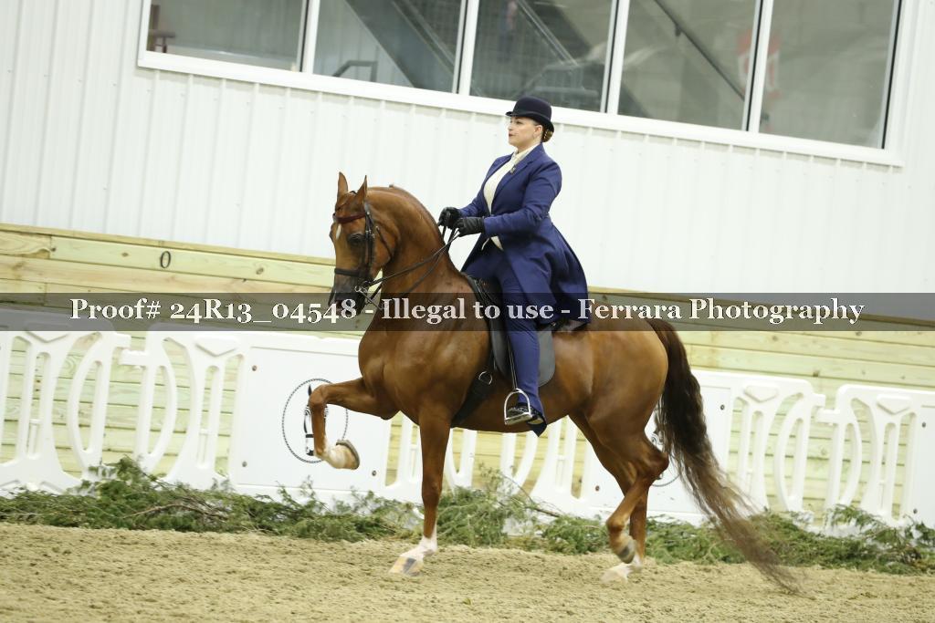 Proof 24R13_04548