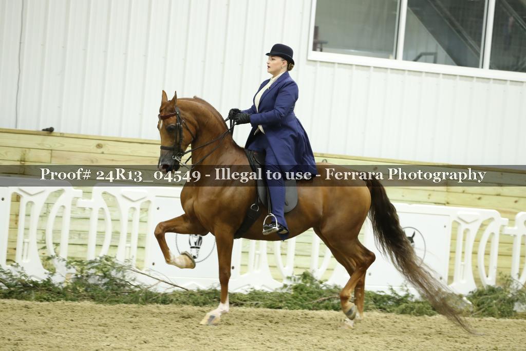 Proof 24R13_04549