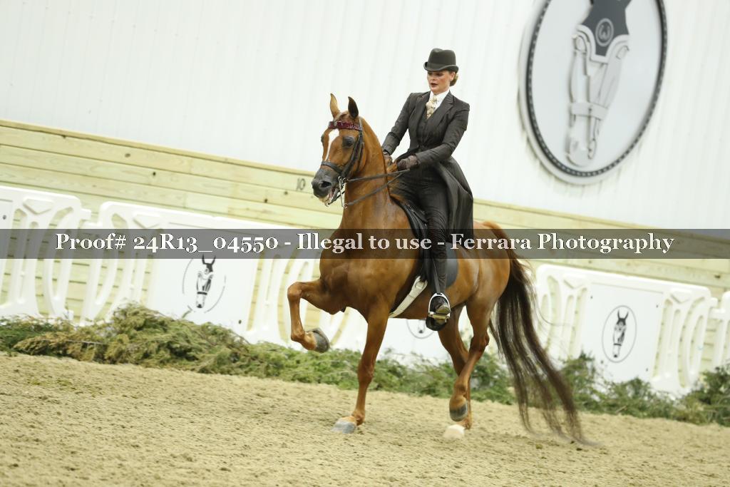 Proof 24R13_04550