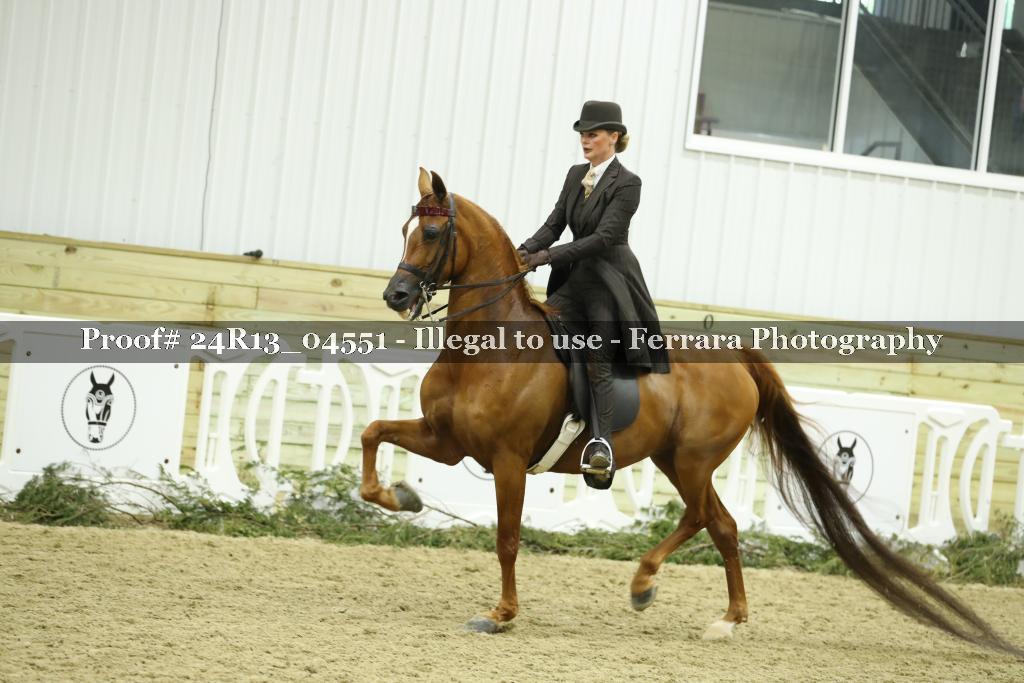 Proof 24R13_04551