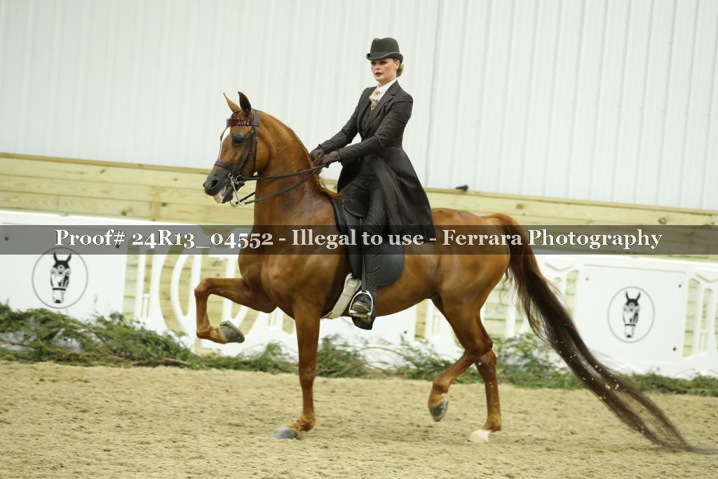 Proof 24R13_04552