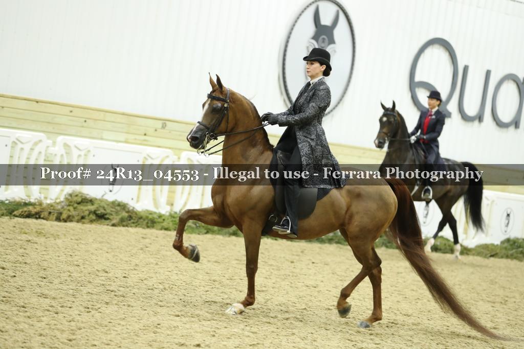 Proof 24R13_04553