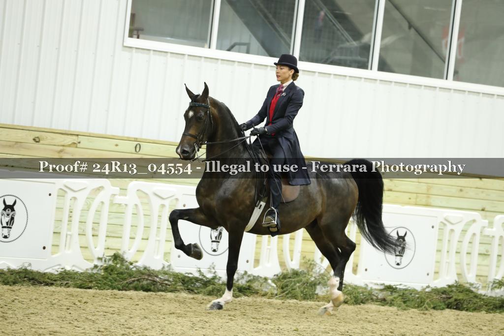 Proof 24R13_04554