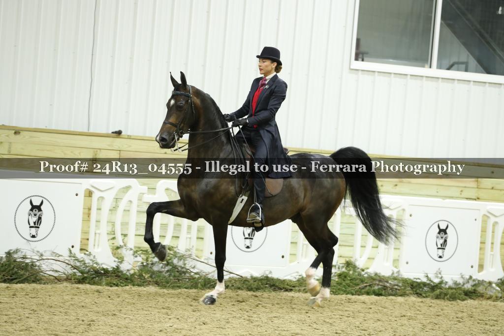 Proof 24R13_04555