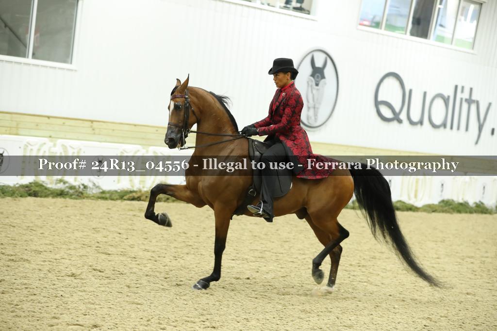 Proof 24R13_04556