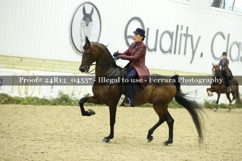 Proof 24R13_04557