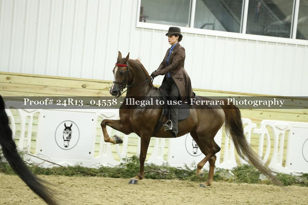 Proof 24R13_04558
