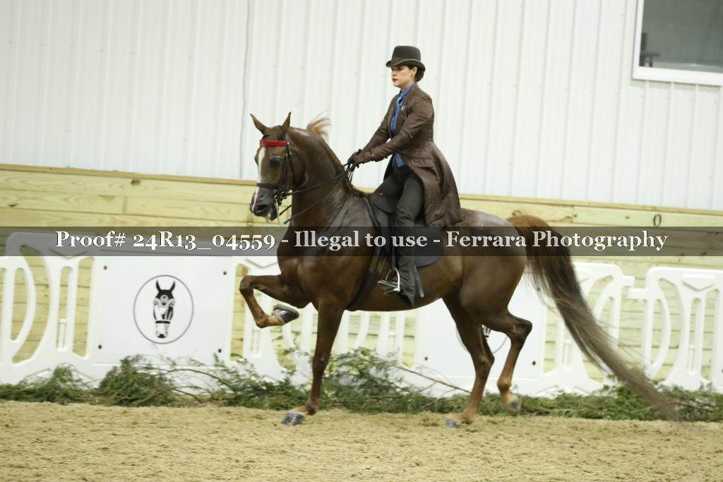 Proof 24R13_04559