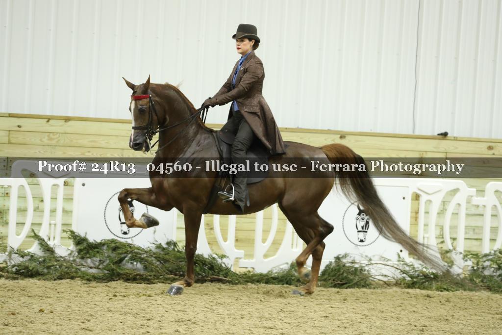 Proof 24R13_04560