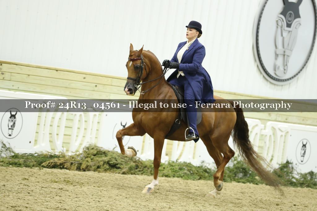 Proof 24R13_04561