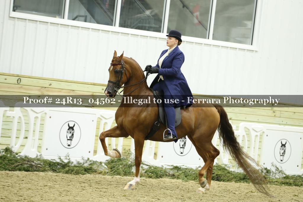 Proof 24R13_04562