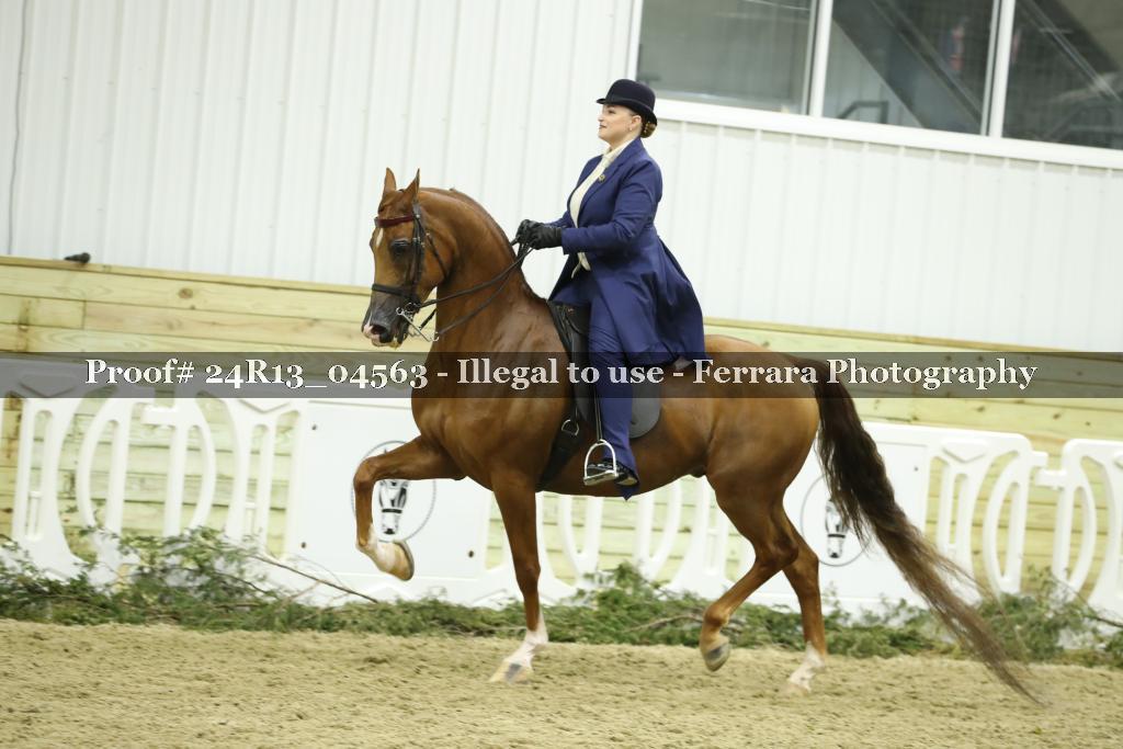 Proof 24R13_04563