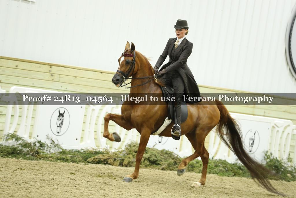 Proof 24R13_04564