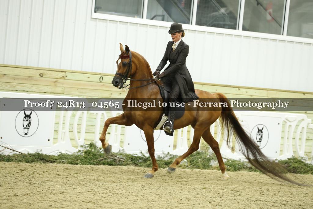 Proof 24R13_04565