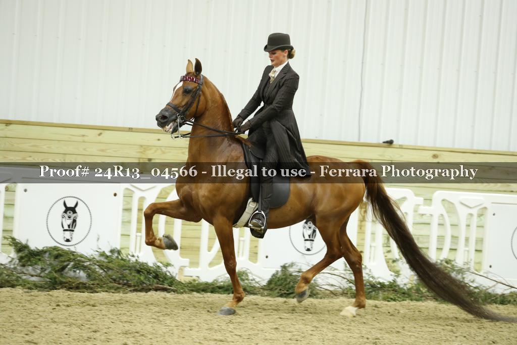 Proof 24R13_04566
