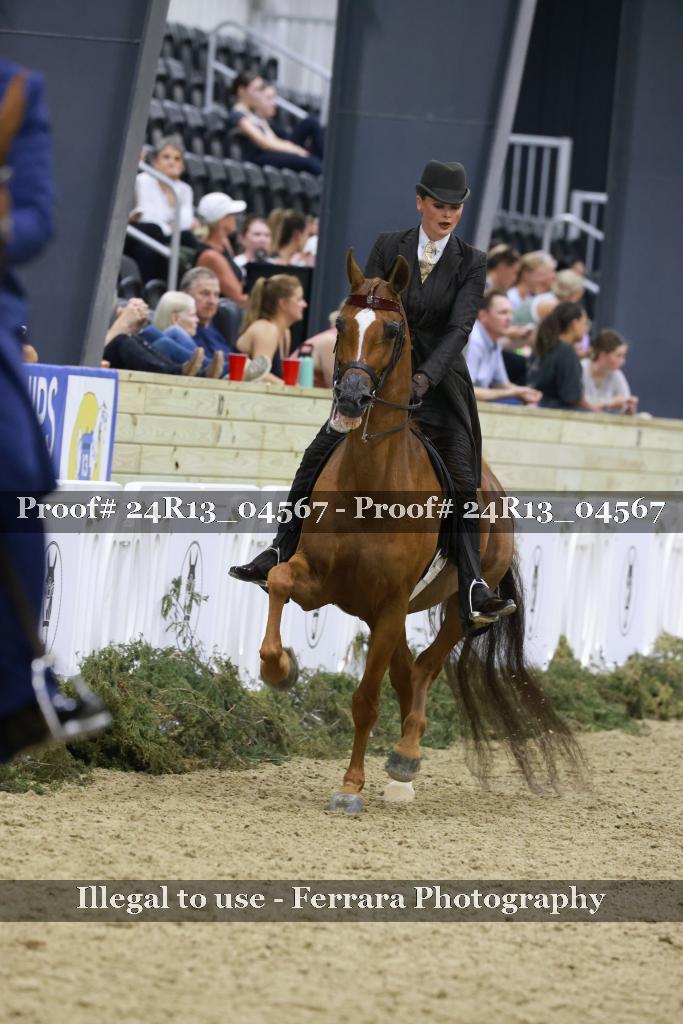 Proof 24R13_04567