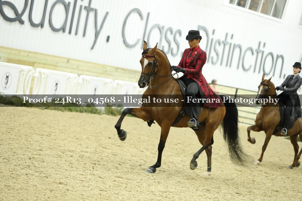 Proof 24R13_04568