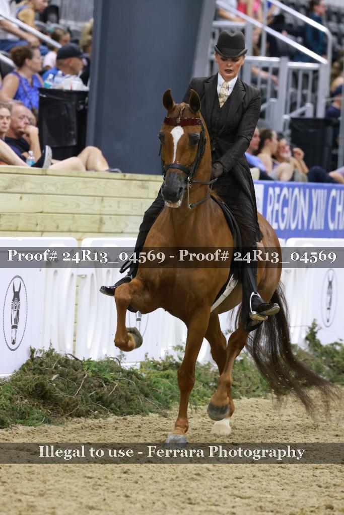 Proof 24R13_04569