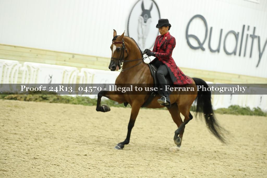 Proof 24R13_04570