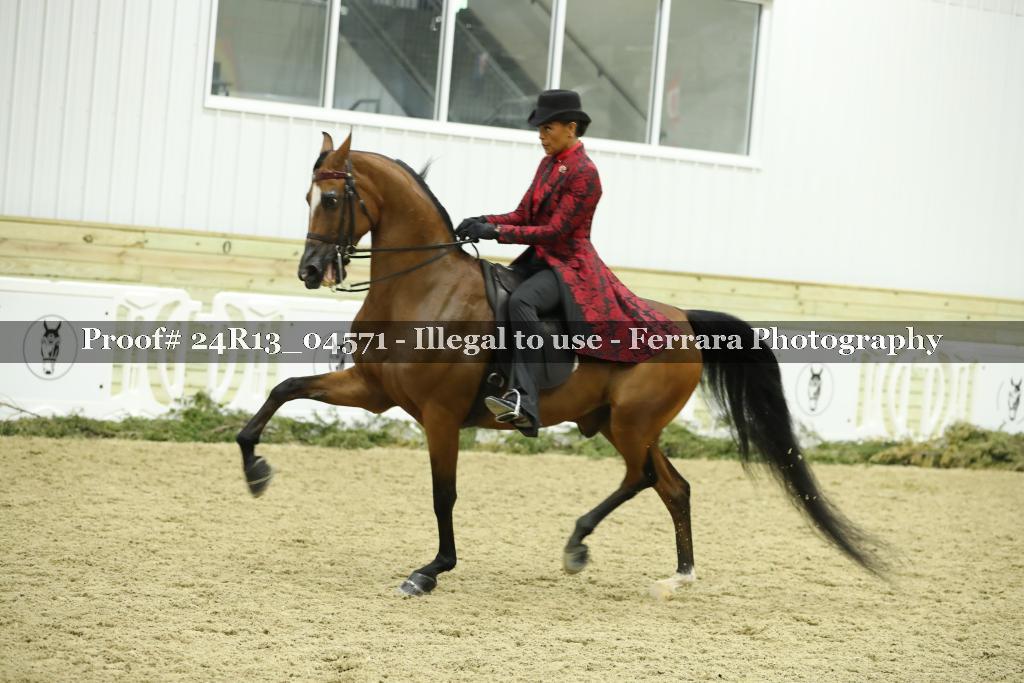Proof 24R13_04571