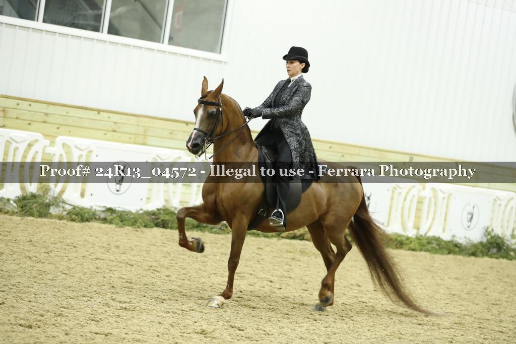 Proof 24R13_04572