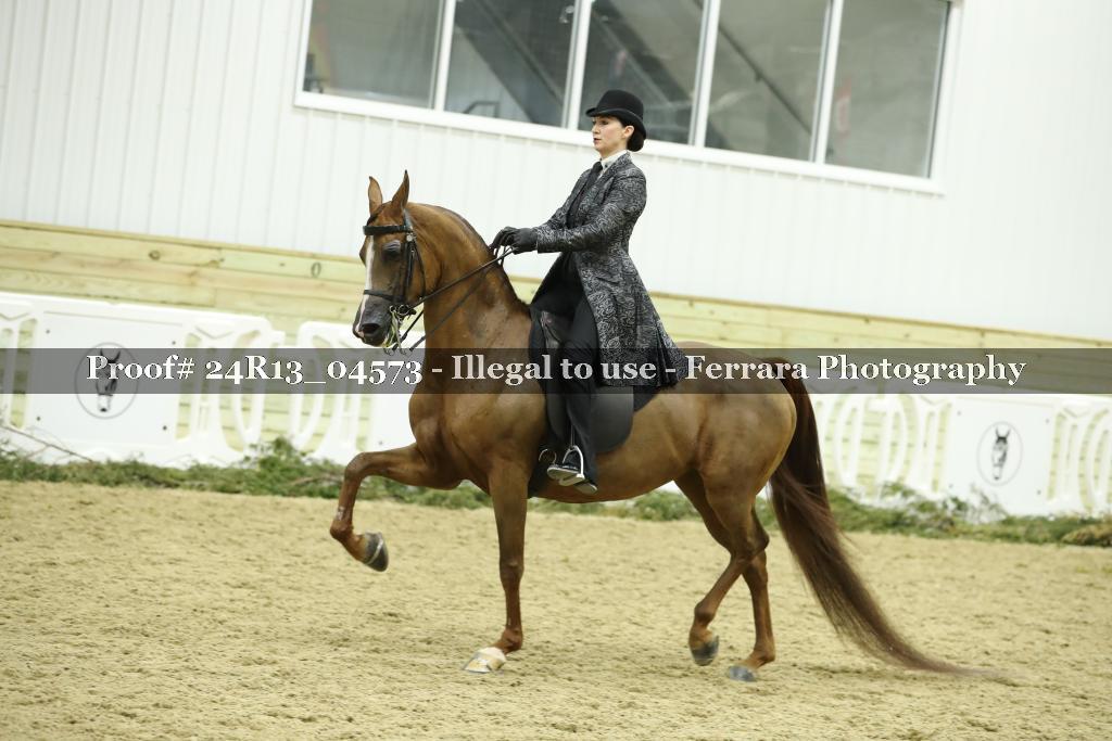 Proof 24R13_04573