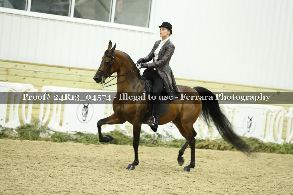 Proof 24R13_04574